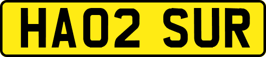 HA02SUR