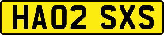 HA02SXS