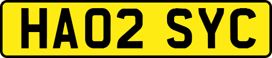 HA02SYC