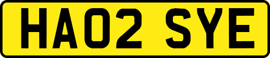 HA02SYE