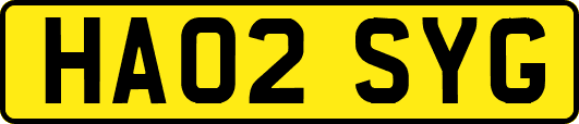 HA02SYG