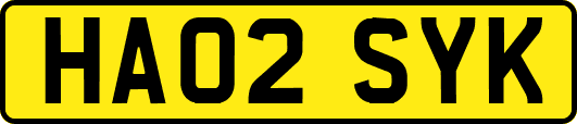 HA02SYK