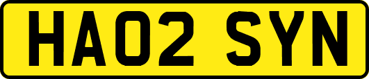 HA02SYN
