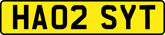 HA02SYT