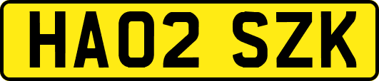 HA02SZK