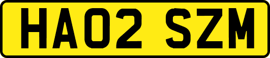 HA02SZM