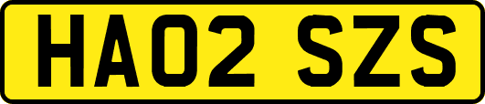 HA02SZS