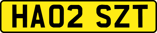 HA02SZT