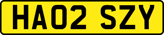 HA02SZY