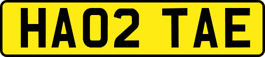 HA02TAE