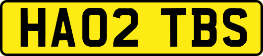 HA02TBS
