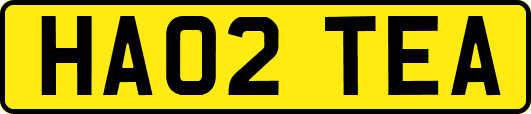 HA02TEA