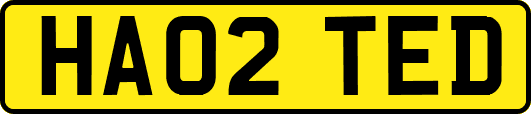 HA02TED