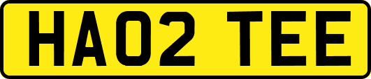 HA02TEE