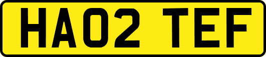 HA02TEF