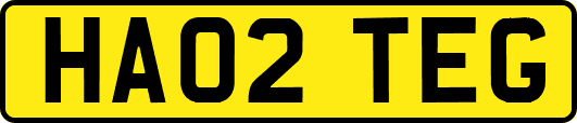 HA02TEG