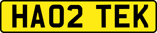 HA02TEK
