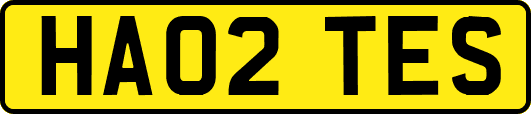 HA02TES