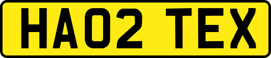 HA02TEX