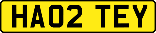 HA02TEY