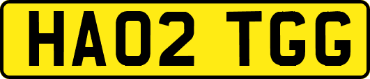 HA02TGG