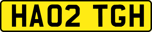 HA02TGH