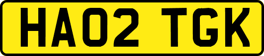 HA02TGK