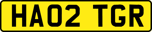 HA02TGR