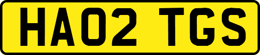 HA02TGS
