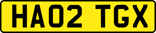 HA02TGX