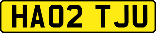 HA02TJU