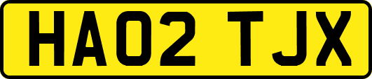 HA02TJX