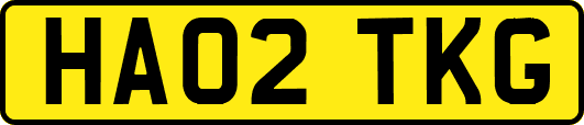 HA02TKG