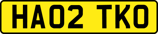 HA02TKO