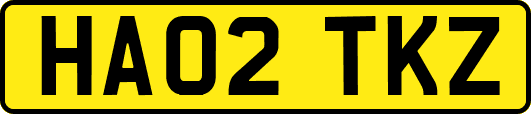 HA02TKZ