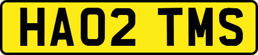 HA02TMS
