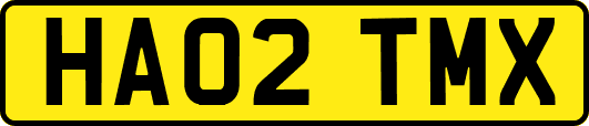HA02TMX