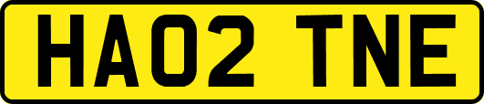HA02TNE