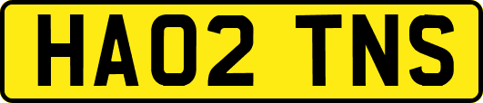 HA02TNS