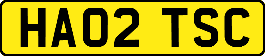 HA02TSC