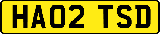 HA02TSD