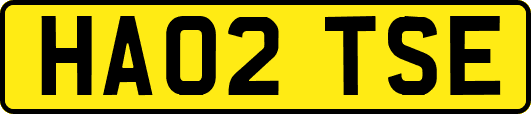 HA02TSE