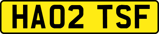 HA02TSF