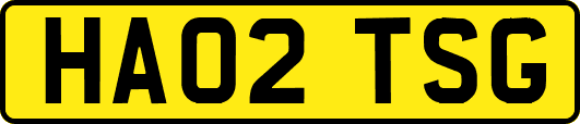 HA02TSG