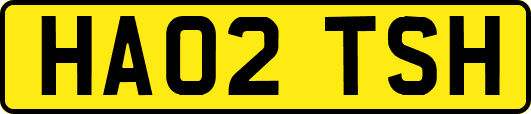 HA02TSH