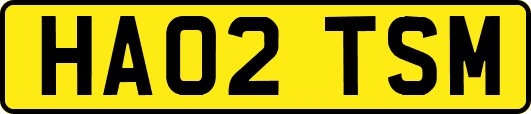HA02TSM