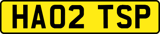 HA02TSP