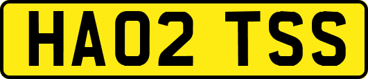 HA02TSS