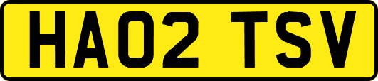 HA02TSV
