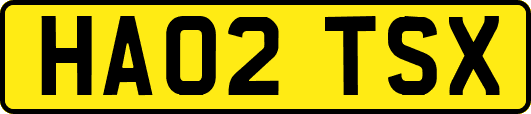HA02TSX